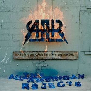 All American Rejects Vinyl Record